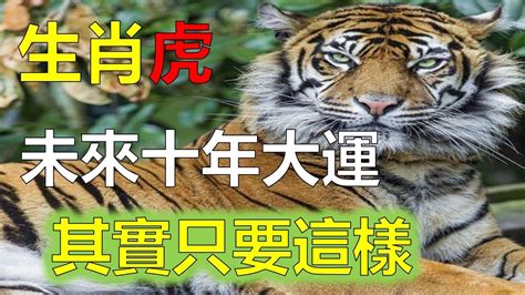 1974屬虎運勢|1974年屬虎人必看！49歲運勢大揭秘！事業、財富、感情、健康。